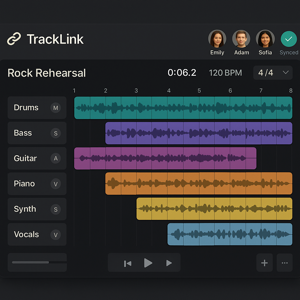 TrackLink's user interface is inspired by modern DAWs